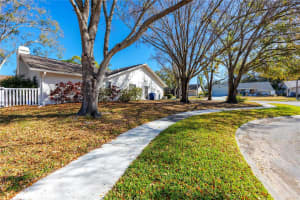 3680 HOLLOW TRAIL COURT, PALM HARBOR, FL 34684 - MLS#MFRTB8476741