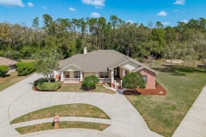 6207 CLAIRE DE LUNE COURT, NEW PORT RICHEY, FL 34655 - MLS#MFRTB8476747