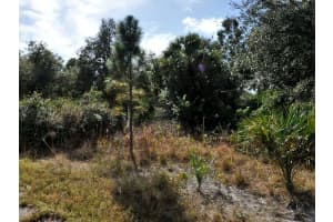 GAMES CT, NORTH PORT, FL 34288 - MLS#MFRTB8476780