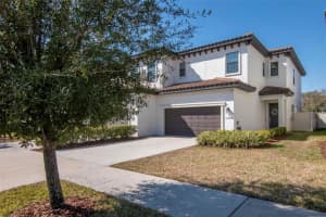 13022 Sanctuary Village Ln, TAMPA