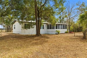 3906 FOX RIDGE BOULEVARD, WESLEY CHAPEL, FL 33543 - MLS#MFRTB8476809