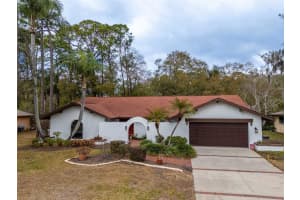 2240 Toniwood Ln, PALM HARBOR 2240 Toniwood Ln, PALM HARBOR