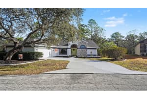 17 LONGLEAF COURT, HOMOSASSA, FL 34446 - MLS#MFRTB8476856