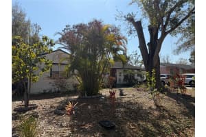 1514 RIVER SHORE WAY, TAMPA, FL 33603 - MLS#MFRTB8476857