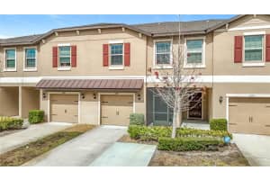 11709 CASTINE STREET, NEW PORT RICHEY, FL 34654 - MLS#MFRTB8476888