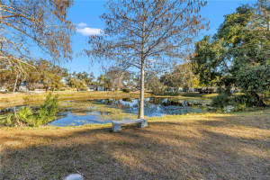 8972 79TH AVENUE, SEMINOLE, FL 33777 - MLS#MFRTB8476904