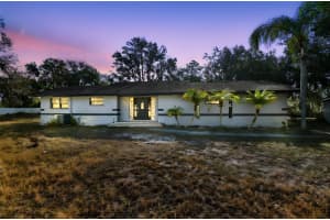 10001 WATER WORKS LANE, RIVERVIEW, FL 33578 - MLS#MFRTB8476913