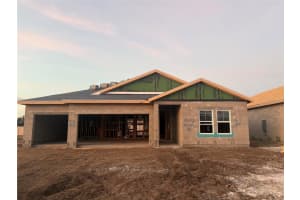 33496 Twilight Sea Pl, DADE CITY