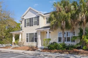 12304 COUNTRY WHITE CIRCLE, TAMPA, FL 33635 - MLS#MFRTB8476941