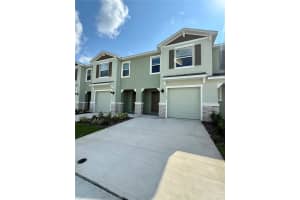 11406 VELVET APRICOT DRIVE, LAND O LAKES, FL 34638 - MLS#MFRTB8476991