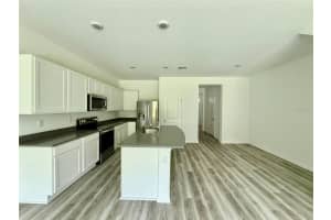 11406 VELVET APRICOT DRIVE, LAND O LAKES, FL 34638 - MLS#MFRTB8476991