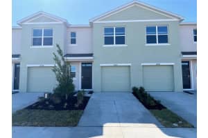17212 ENGLISH CHESTNUT WAY, LAND O LAKES, FL 34638 - MLS#MFRTB8477003