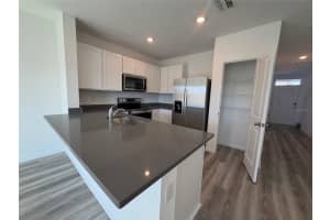 17212 ENGLISH CHESTNUT WAY, LAND O LAKES, FL 34638 - MLS#MFRTB8477003