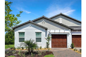 16831 FORGE SURF STREET, LAND O LAKES, FL 34638 - MLS#MFRTB8477018