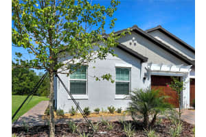 16831 FORGE SURF STREET, LAND O LAKES, FL 34638 - MLS#MFRTB8477018