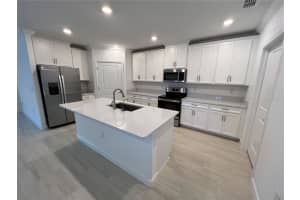 16831 FORGE SURF STREET, LAND O LAKES, FL 34638 - MLS#MFRTB8477018