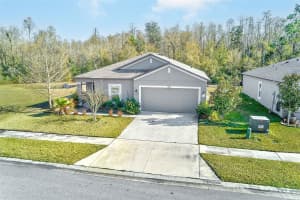 18858 ALFARO LOOP, SPRING HILL, FL 34610 - MLS#MFRTB8477037