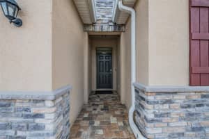 31364 TANSY BEND, WESLEY CHAPEL, FL 33545 - MLS#MFRTB8477056