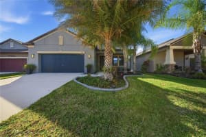 13917 ROSEATE TERN LANE, RIVERVIEW, FL 33579 - MLS#MFRTB8477084