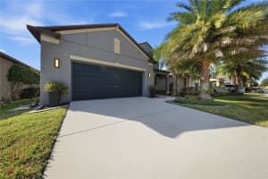 13917 ROSEATE TERN LANE, RIVERVIEW, FL 33579 - MLS#MFRTB8477084