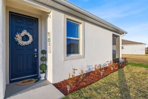 8498 BOLD CYPRESS LANE, WESLEY CHAPEL, FL 33545 - MLS#MFRTB8477086