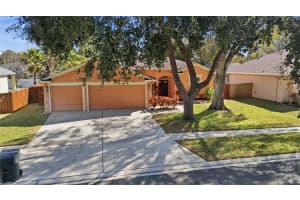 10455 ASHLEY OAKS DRIVE, RIVERVIEW, FL 33578 - MLS#MFRTB8477094