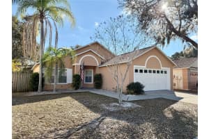 10233 ALLENWOOD DRIVE, RIVERVIEW, FL 33569 - MLS#MFRTB8477137