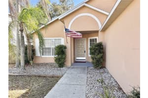 10233 ALLENWOOD DRIVE, RIVERVIEW, FL 33569 - MLS#MFRTB8477137