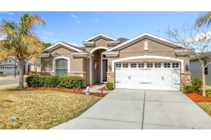 29109 ENNISCRONE DRIVE, SAN ANTONIO, FL 33576 - MLS#MFRTB8477147