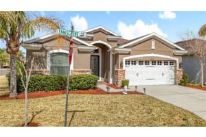 29109 ENNISCRONE DRIVE, SAN ANTONIO, FL 33576 - MLS#MFRTB8477147