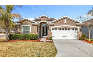 29109 ENNISCRONE DRIVE, SAN ANTONIO, FL 33576 - MLS#MFRTB8477147