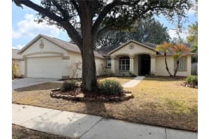 4111 Amber Ridge Ln, VALRICO