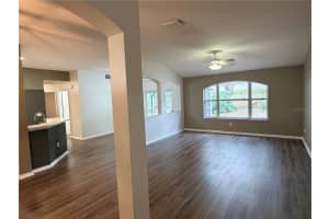 4111 AMBER RIDGE LANE, VALRICO, FL 33594 - MLS#MFRTB8477156