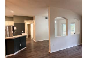 4111 AMBER RIDGE LANE, VALRICO, FL 33594 - MLS#MFRTB8477156