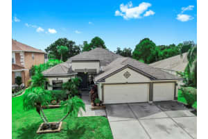 10861 Hoffner Edge Dr, RIVERVIEW 10861 Hoffner Edge Dr, RIVERVIEW