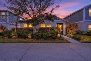 12513 Triple Creek Blvd, RIVERVIEW