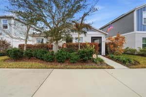 12513 TRIPLE CREEK BOULEVARD, RIVERVIEW, FL 33579 - MLS#MFRTB8477164