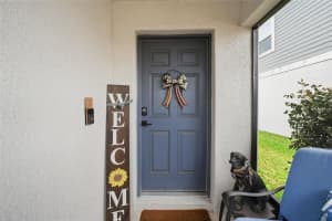 12513 TRIPLE CREEK BOULEVARD, RIVERVIEW, FL 33579 - MLS#MFRTB8477164