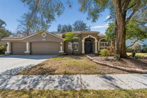16005 PENWOOD DRIVE, TAMPA, FL 33647 - MLS#MFRTB8477165