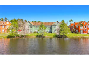 9068 LAKE CHASE ISLAND WAY, TAMPA, FL 33626 - MLS#MFRTB8477176