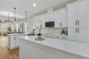 1515 KNOLLWOOD STREET, TAMPA, FL 33610 - MLS#MFRTB8477185