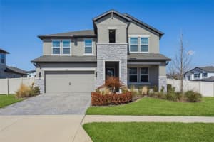 33287 SYCAMORE LEAF DRIVE, WESLEY CHAPEL, FL 33545 - MLS#MFRTB8477200