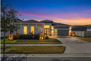 8903 DRUMMER PLANK DRIVE, WESLEY CHAPEL, FL 33545 - MLS#MFRTB8477205