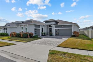8903 DRUMMER PLANK DRIVE, WESLEY CHAPEL, FL 33545 - MLS#MFRTB8477205