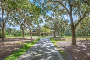 11832 NEAL ROAD, LITHIA, FL 33547 - MLS#MFRTB8477213