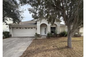 11547 Addison Chase Dr, RIVERVIEW