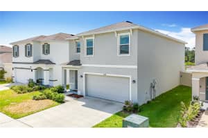 33568 BARBERRY LEAF WAY, WESLEY CHAPEL, FL 33543 - MLS#MFRTB8477240