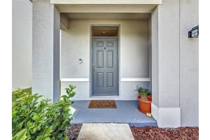 33568 BARBERRY LEAF WAY, WESLEY CHAPEL, FL 33543 - MLS#MFRTB8477240