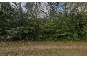 6524 SOURGUM TERRACE, HERNANDO, FL 34442 - MLS#MFRTB8477244