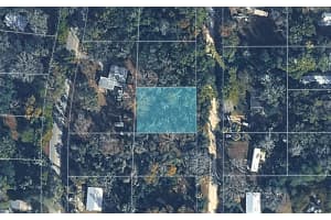 6524 SOURGUM TERRACE, HERNANDO, FL 34442 - MLS#MFRTB8477244